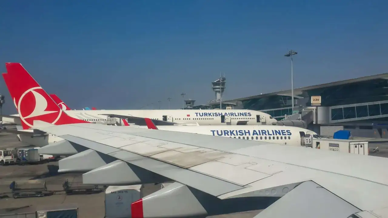 Samoloty Turkish Airlines na płycie lotniska. W tle budynek terminala i wieża kontroli lotów. Czekamy na odbiór bagażu.