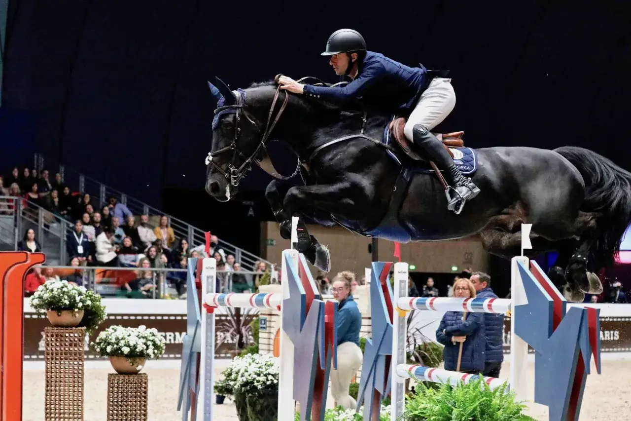 Un cheval noir CSO, mont&eacute; par un cavalier en tenue d'&eacute;quitation, franchit un obstacle lors d'une comp&eacute;tition.