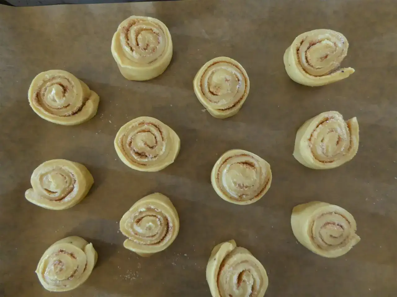 Elva kanelbullar, redo att jäsa med snabbjäst, ligger på ett bakplåtspapper.