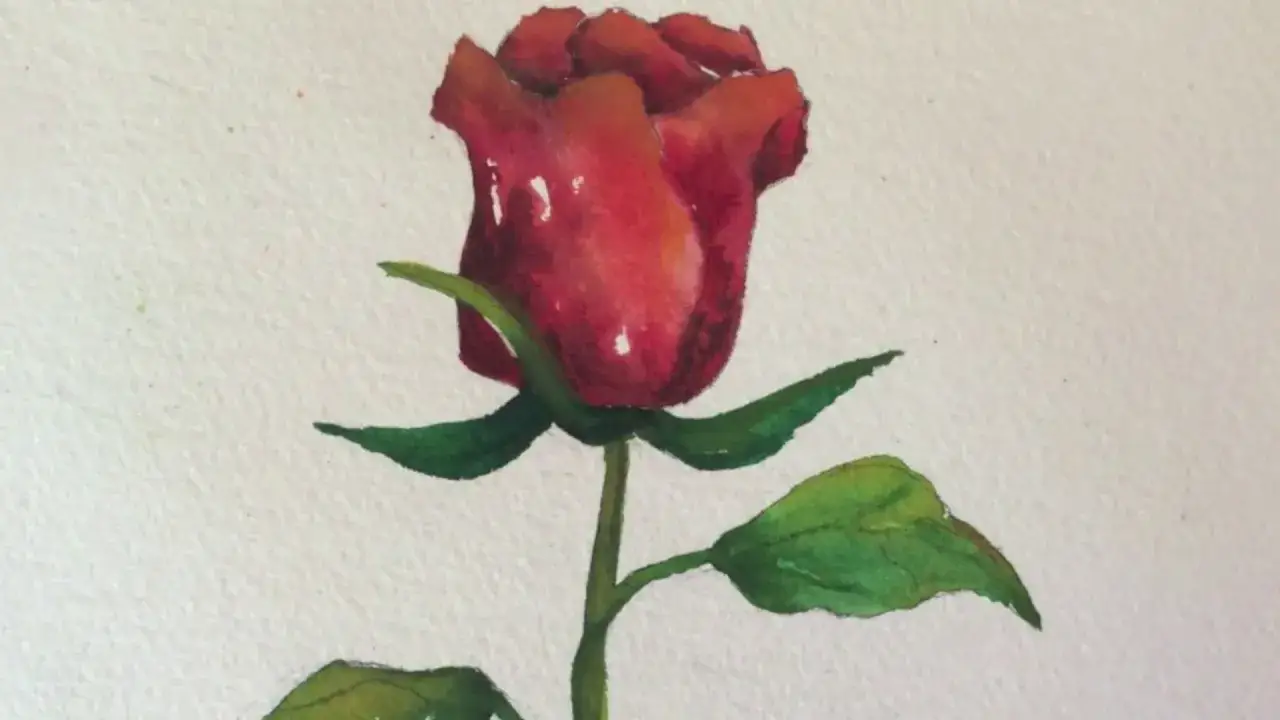 Un d&eacute;licat dessin rose aquarelle, aux p&eacute;tales rouges vibrants et aux feuilles vertes tendres, sur un fond textur&eacute;.