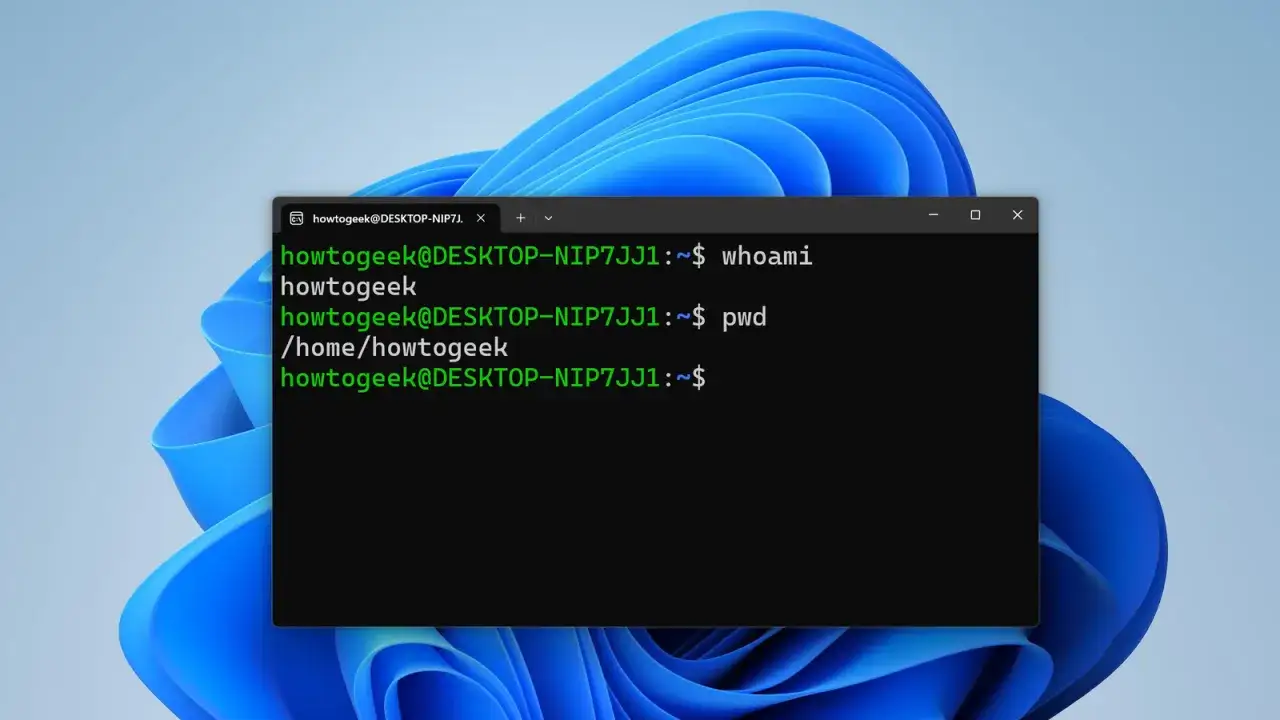 Terminal de Windows 11 mostrando comandos de Linux tras instalar WSL.