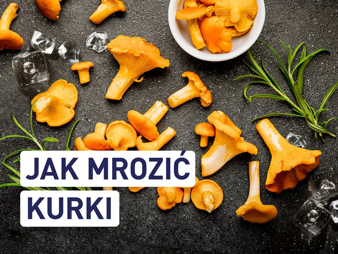 Świeże kurki i lód na ciemnym tle. Dowiedz się, czy kurki można mrozić, by cieszyć się ich smakiem przez cały rok.