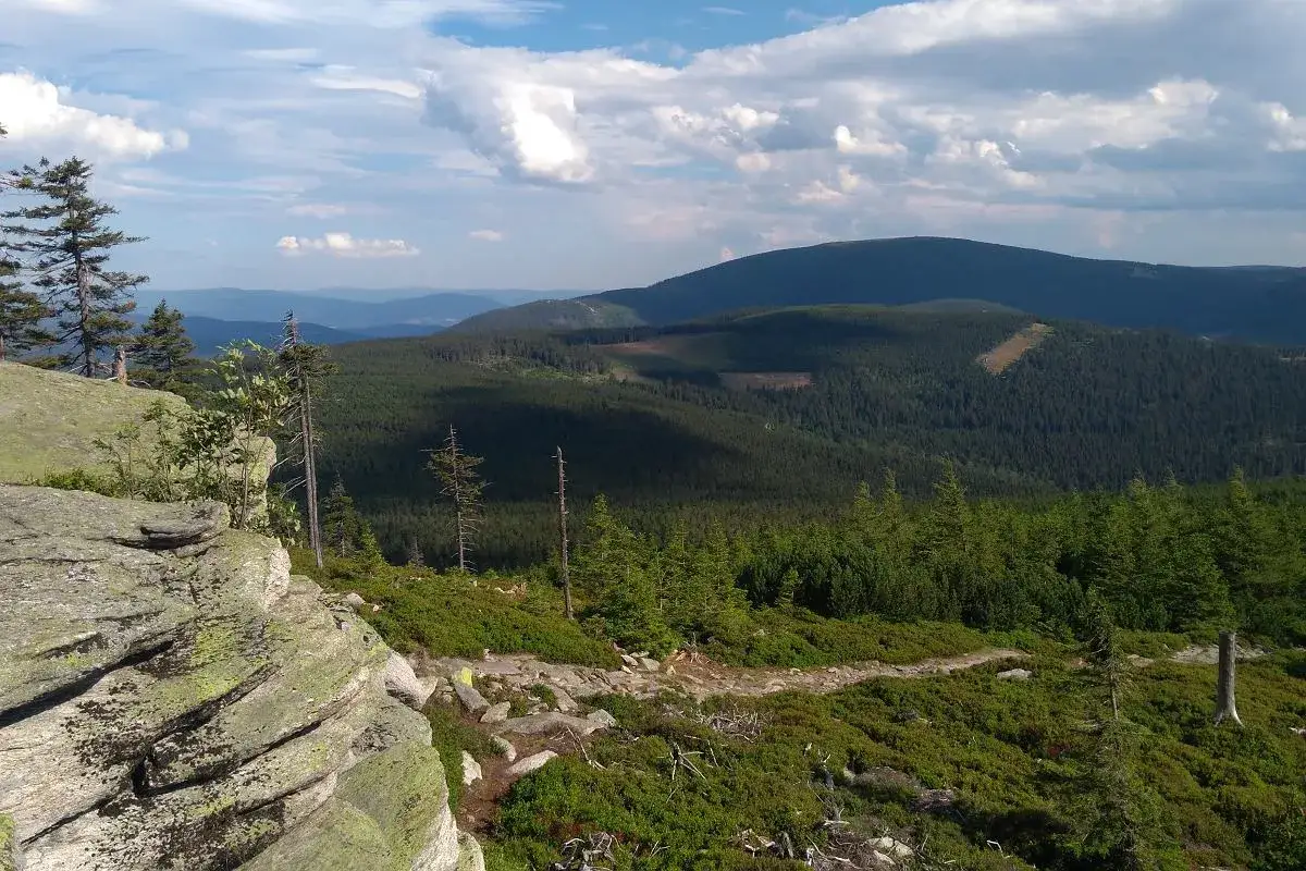 Widok na malownicze góry Śnieżnik, porośnięte gęstym lasem, z kamienistym szlakiem i skalnymi formacjami na pierwszym planie.