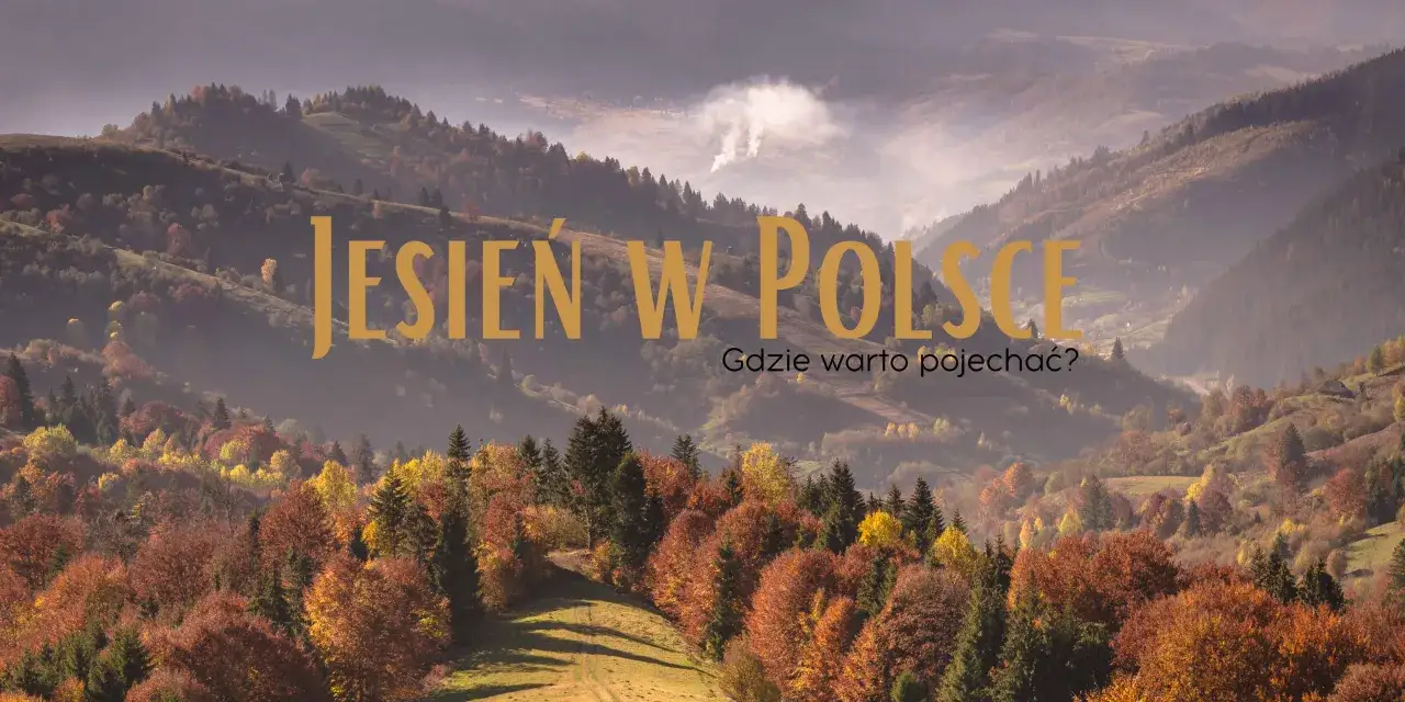 Zdjęcie Dlaczego jesień maluje świat na złoto? Odkryj tajemnice kolorów natury
