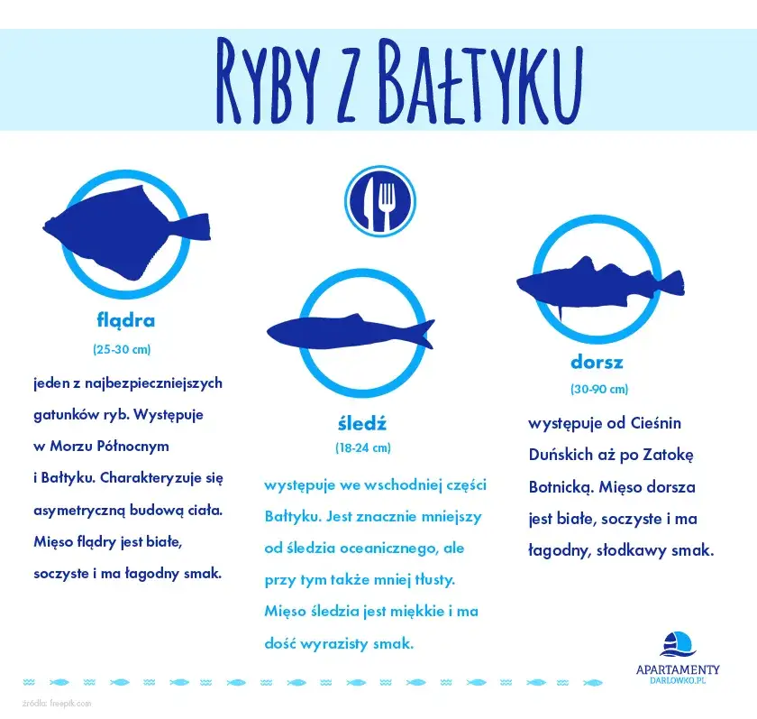 Zdjęcie Jakie ryby z Bałtyku są najzdrowsze? Kompletna lista smażalni i cen