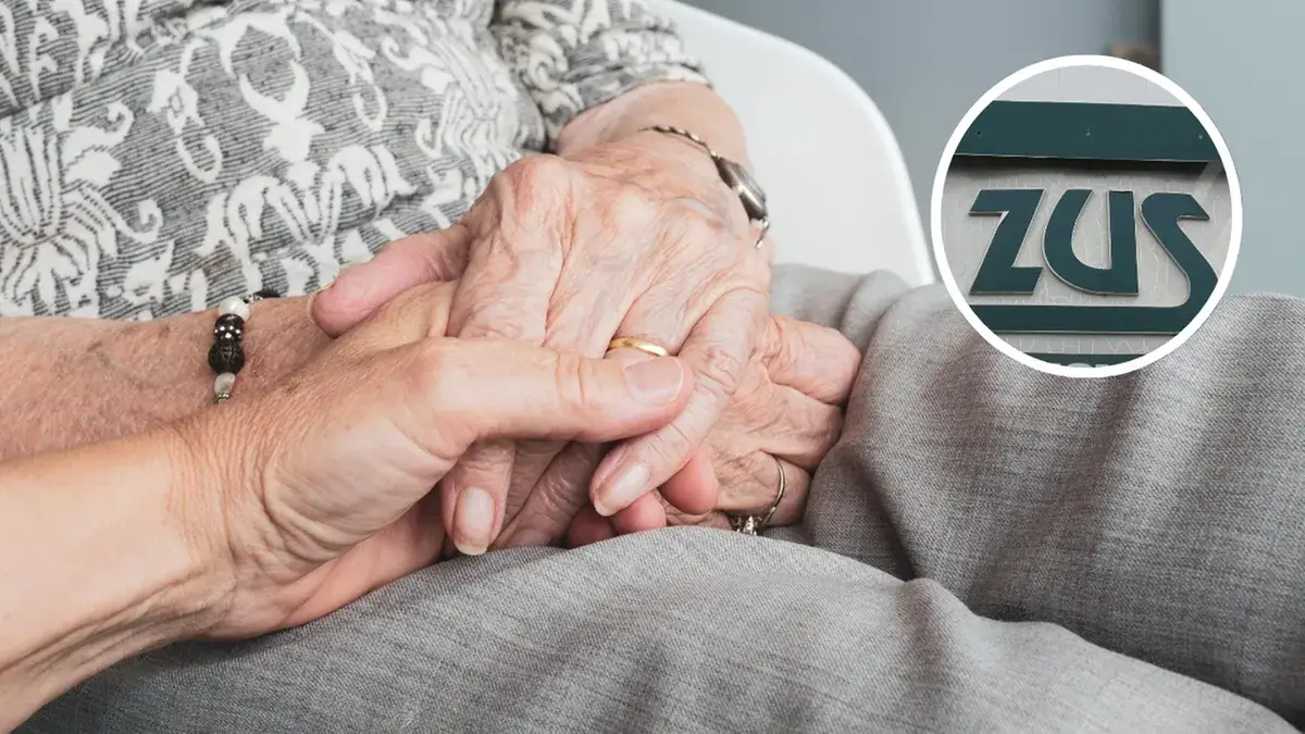 Zdjęcie Jak złożyć wniosek o rentę i uniknąć najczęstszych błędów