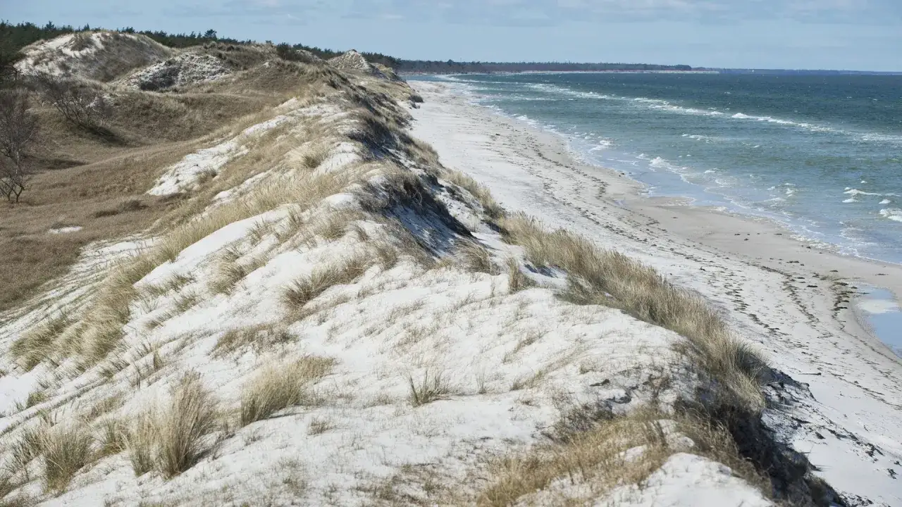 Sanddünen und Strand im Nationalpark Vorpommersche Boddenlandschaft. Perfekt zum Wandern entlang der Ostsee.