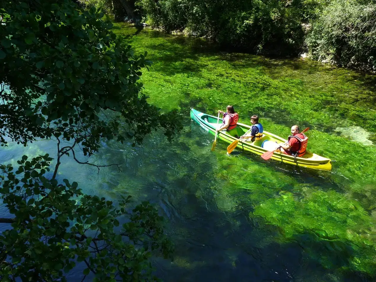 Une famille profite d'une balade en bateau sur la Sorgue à L'Isle-sur-la-Sorgue, naviguant sur des eaux cristallines bordées de verdure luxuriante.