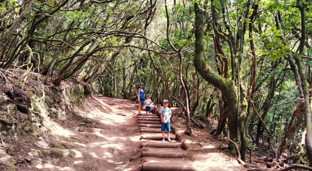 Anaga las wawrzynowy szlak trekkingowy