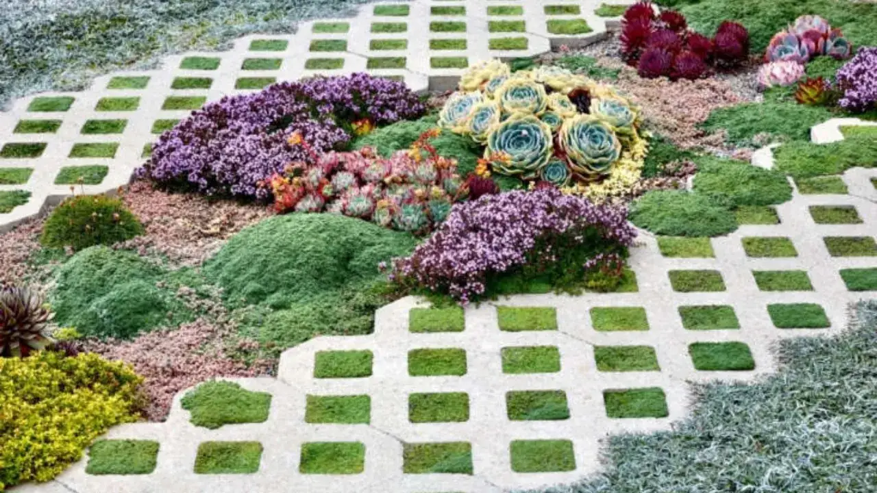 Vialetti giardino carrabili con succulente colorate e fiori viola. Un tappeto verde e grigio completa il paesaggio.