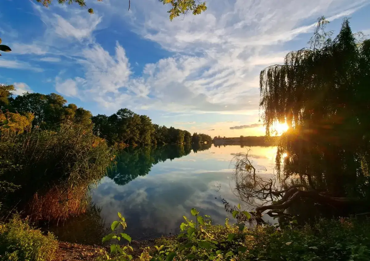 Sonnenuntergang am Rimsinger Baggersee. B&auml;ume spiegeln sich im ruhigen Wasser, der Himmel ist mit Wolken geschm&uuml;ckt.
