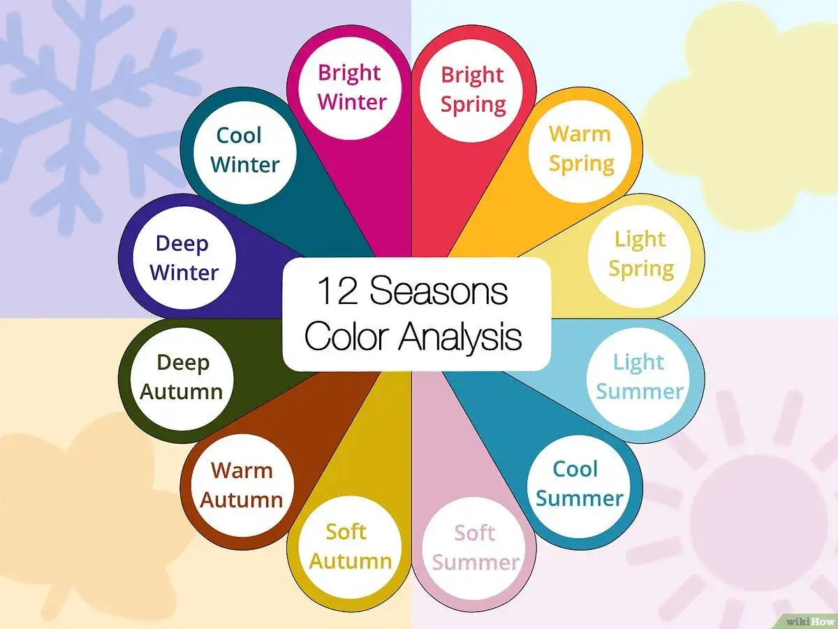 A color wheel shows 12 seasons: Bright Winter, Bright Spring, Warm Spring, Light Spring, Light Summer, Cool Summer, Soft Summer, Soft Autumn, Warm Autumn, Deep Autumn, Deep Winter, and Cool Winter. What season am I?