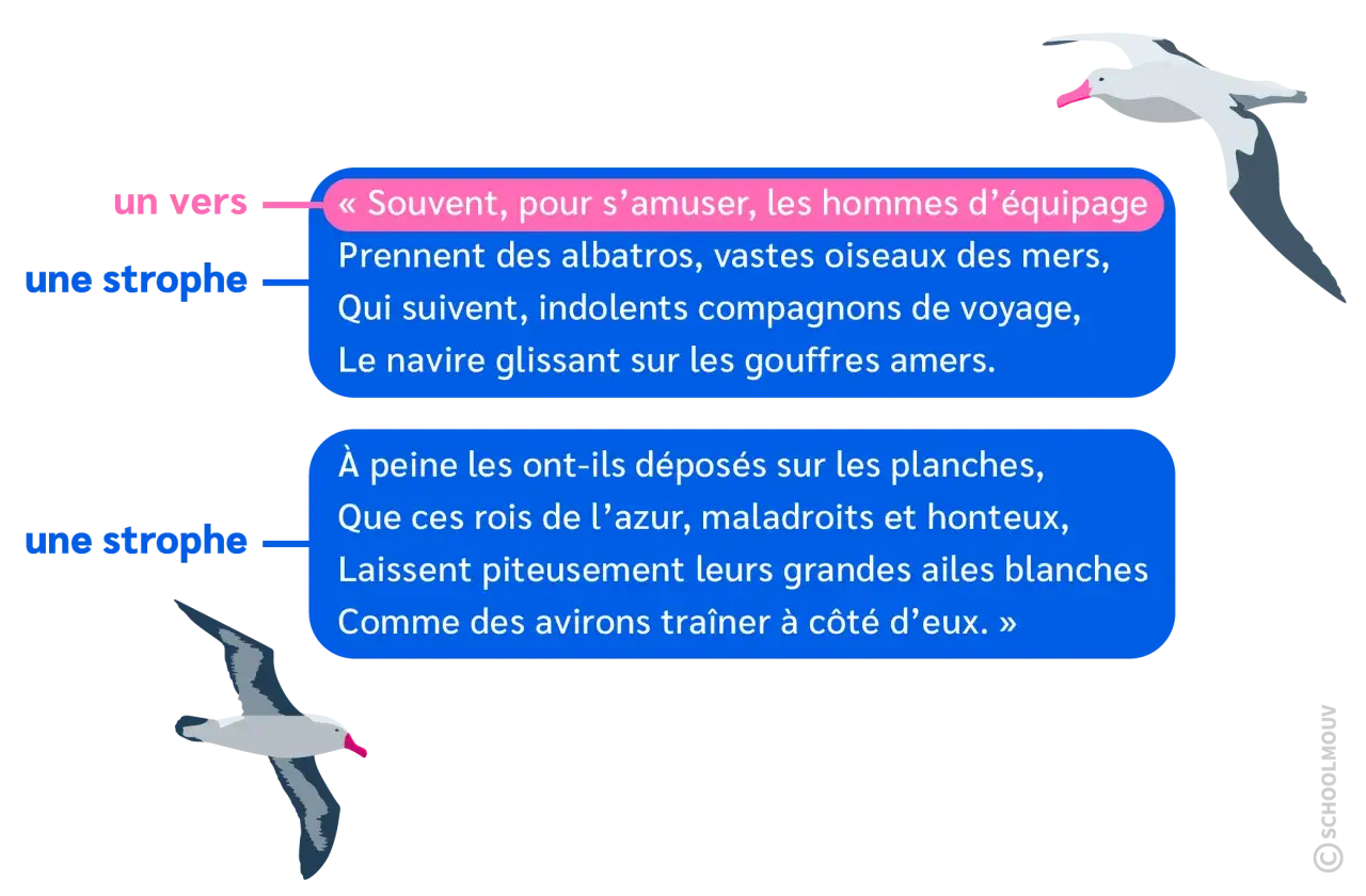 Deux albatros illustrent des strophes du po&egrave;me de Baudelaire, &eacute;voquant ces 