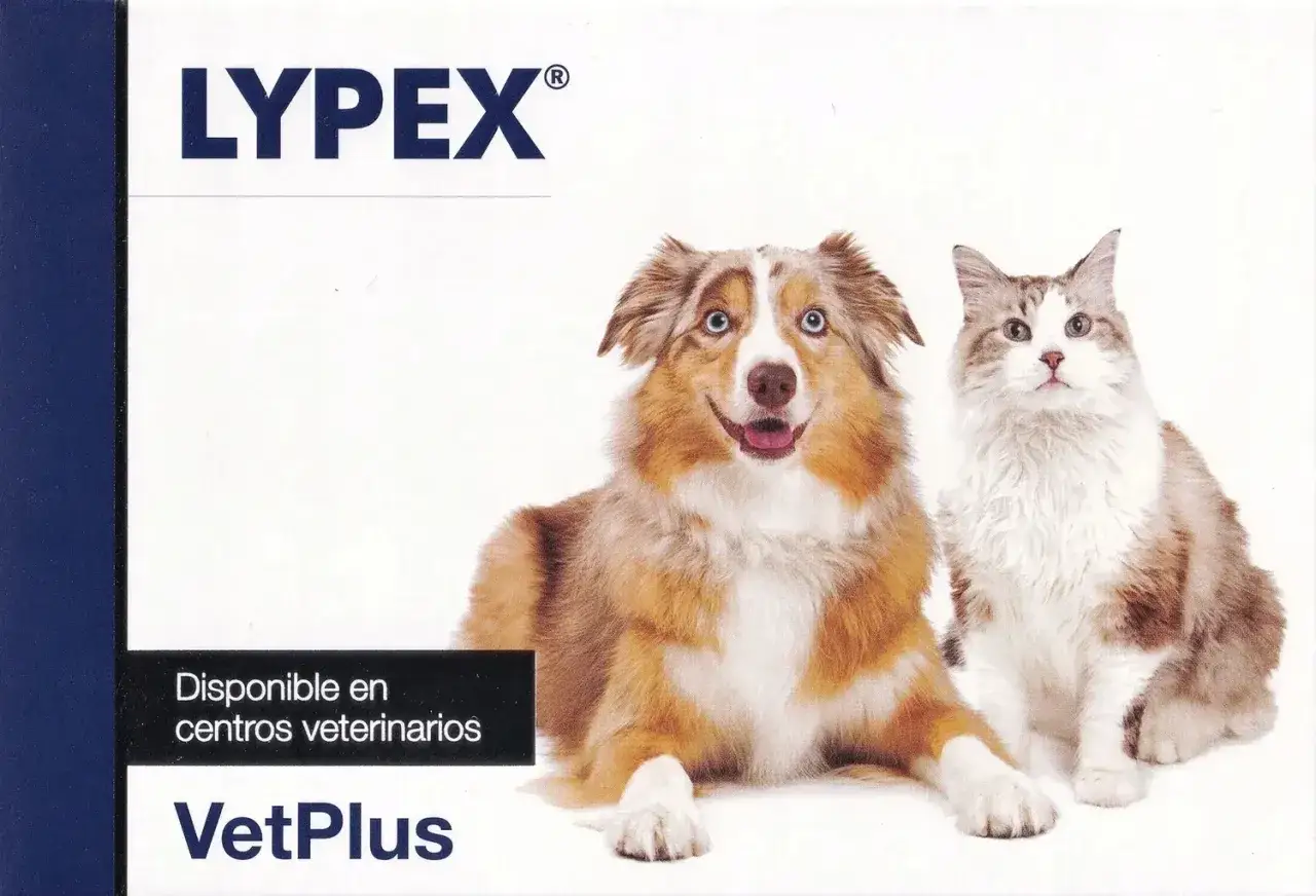 Lypex dla psa i kota. Uśmiechnięty pies i kot siedzą obok siebie. Dostępne w centrach weterynaryjnych VetPlus.