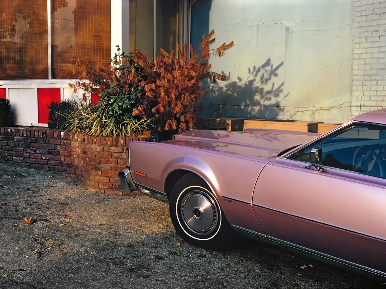 Un'auto rosa metallizzato, un classico stile William Eggleston, parcheggiata vicino a un muro di mattoni e a una vegetazione autunnale.