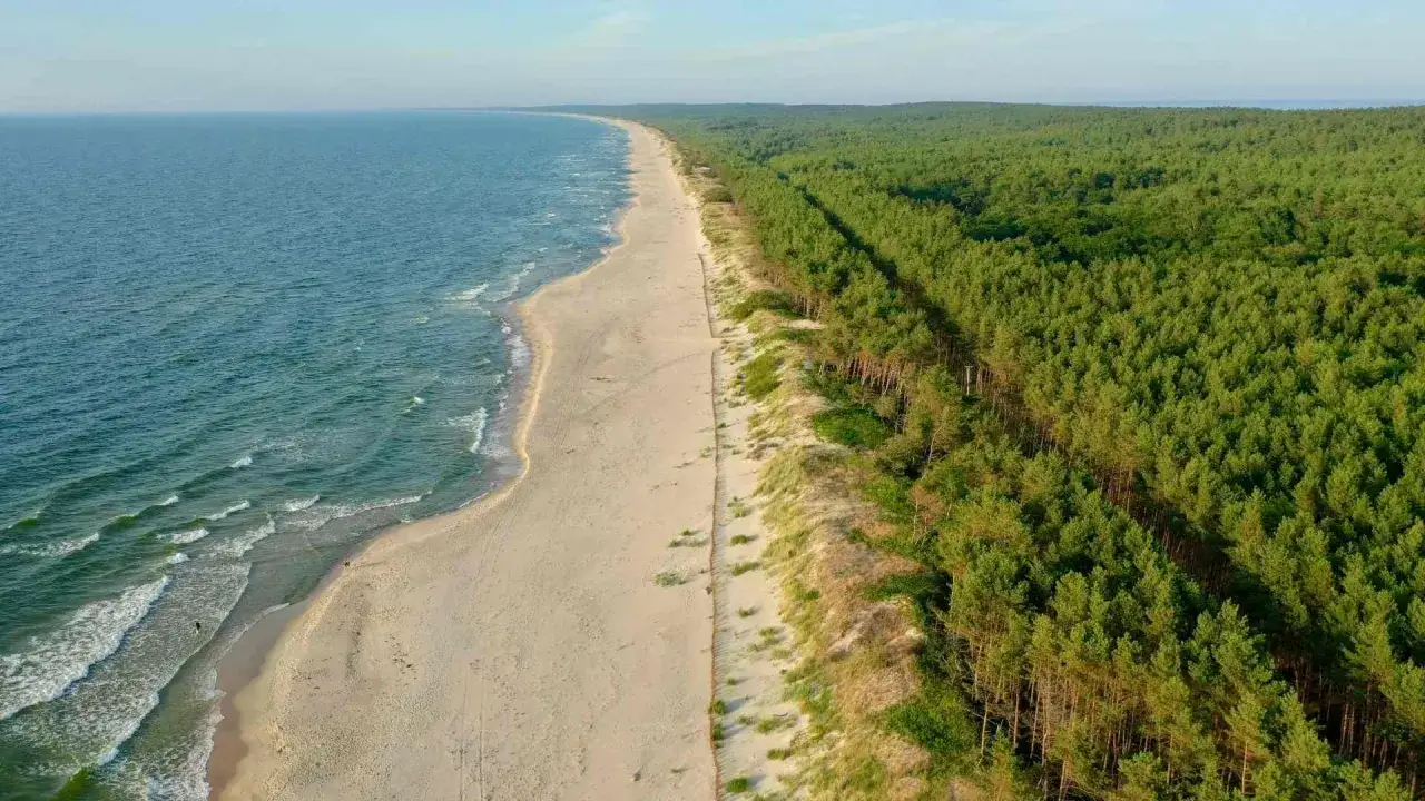 Piękne wydmy w Polsce, gdzie piaszczysta plaża styka się z gęstym lasem sosnowym, a fale Bałtyku delikatnie obmywają brzeg.
