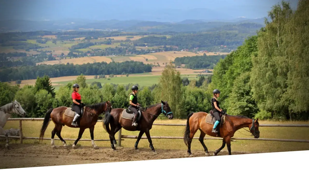Jelenia Góra konie Karkonosze