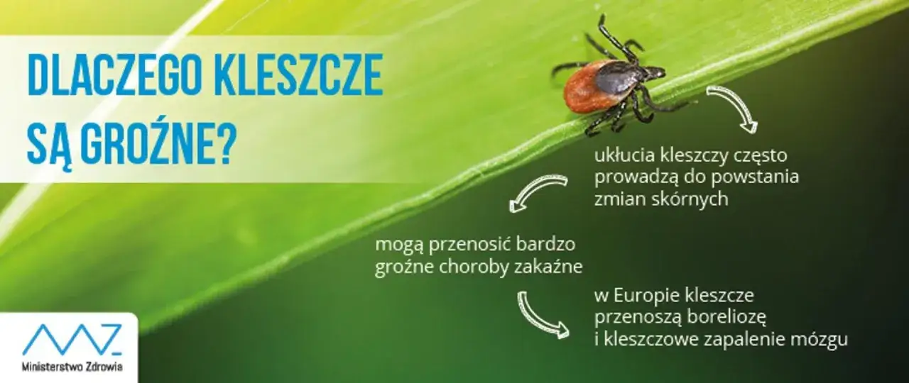 Kleszcze przenoszą groźne choroby zakaźne, takie jak borelioza i kleszczowe zapalenie m&oacute;zgu. Ukłucia mogą prowadzić do zmian sk&oacute;rnych.