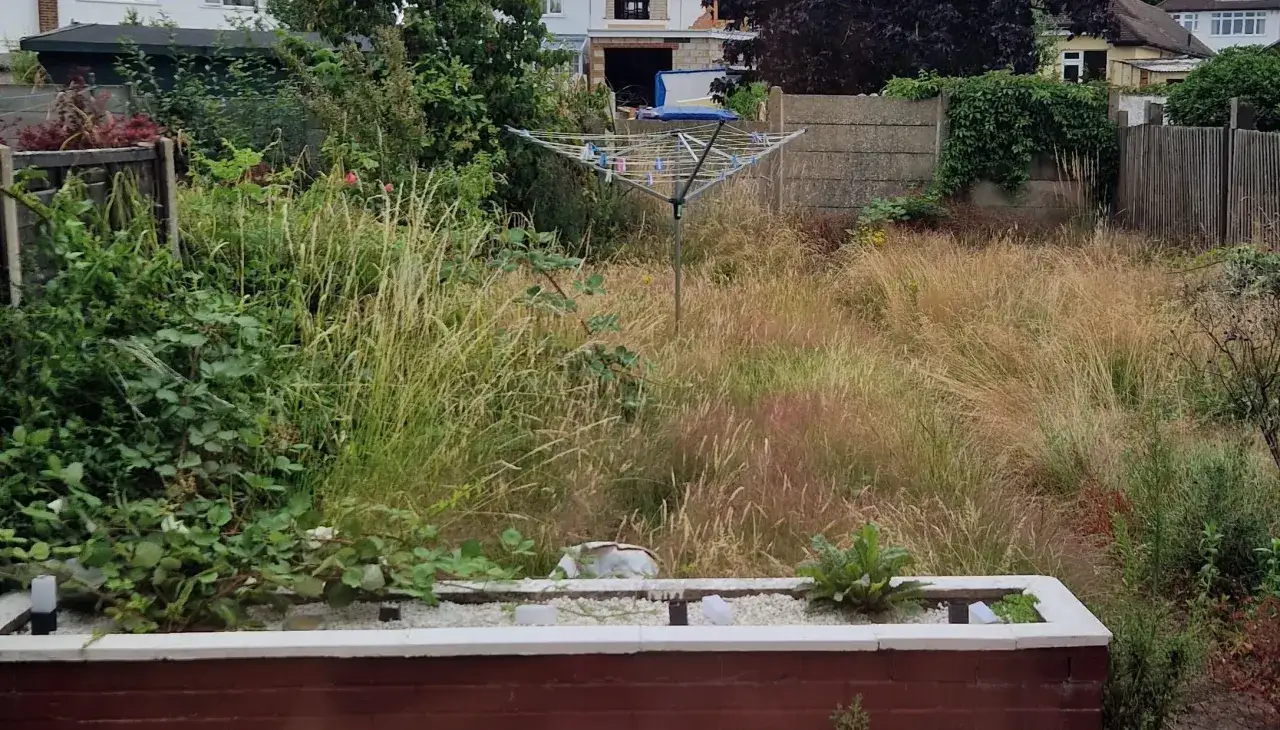 Un jardin envahi par les herbes hautes et les ronces. Une corde &agrave; linge se dresse au milieu, attendant que le soleil s&egrave;che le linge. Il est temps de se d&eacute;barrasser des ronces pour retrouver un espace agr&eacute;able.