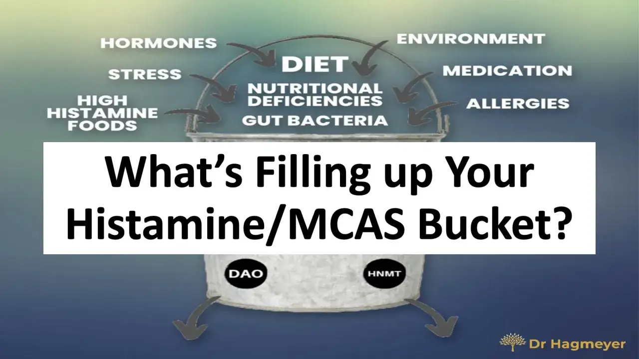 Diagrama de un cubo que representa la histamina. Factores como alimentos con histamina, estrés, hormonas, dieta, deficiencias nutricionales, bacterias intestinales, medio ambiente, medicación y alergias contribuyen a llenarlo.