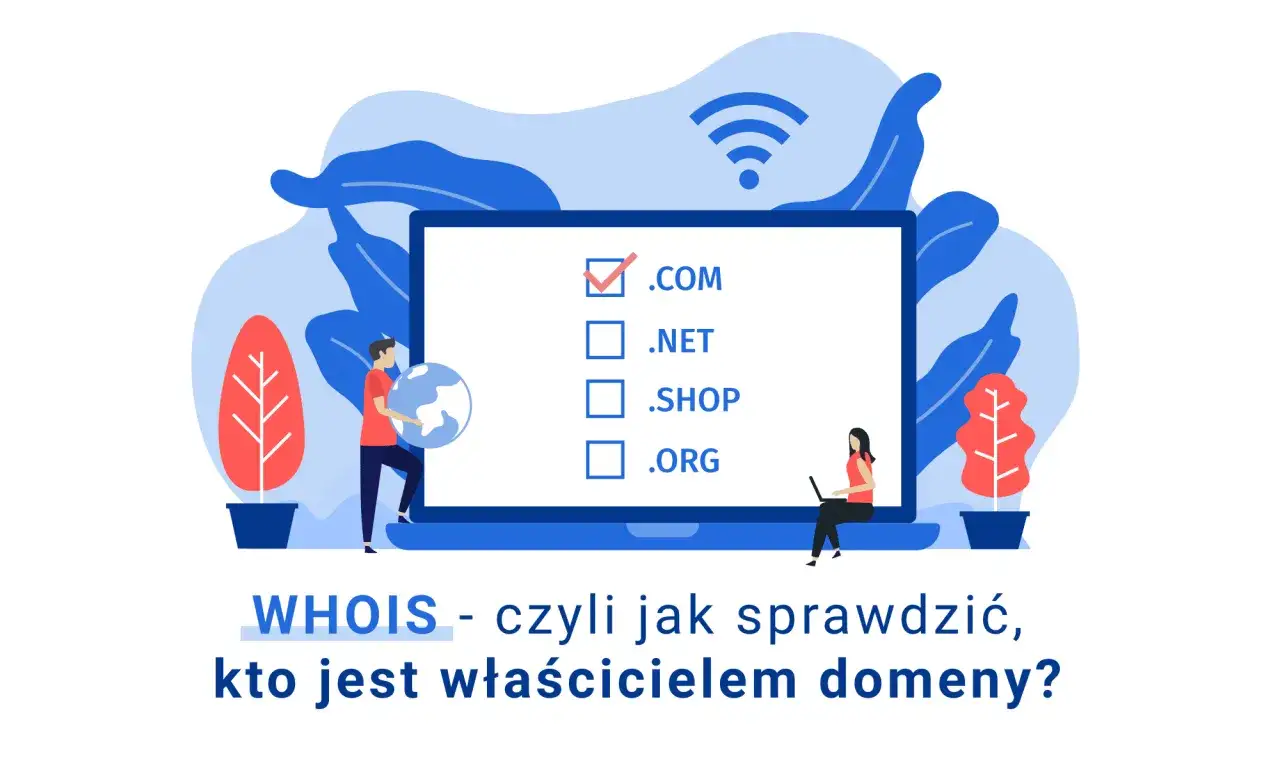 Interfejs wyszukiwarki WHOIS z wpisaną domeną