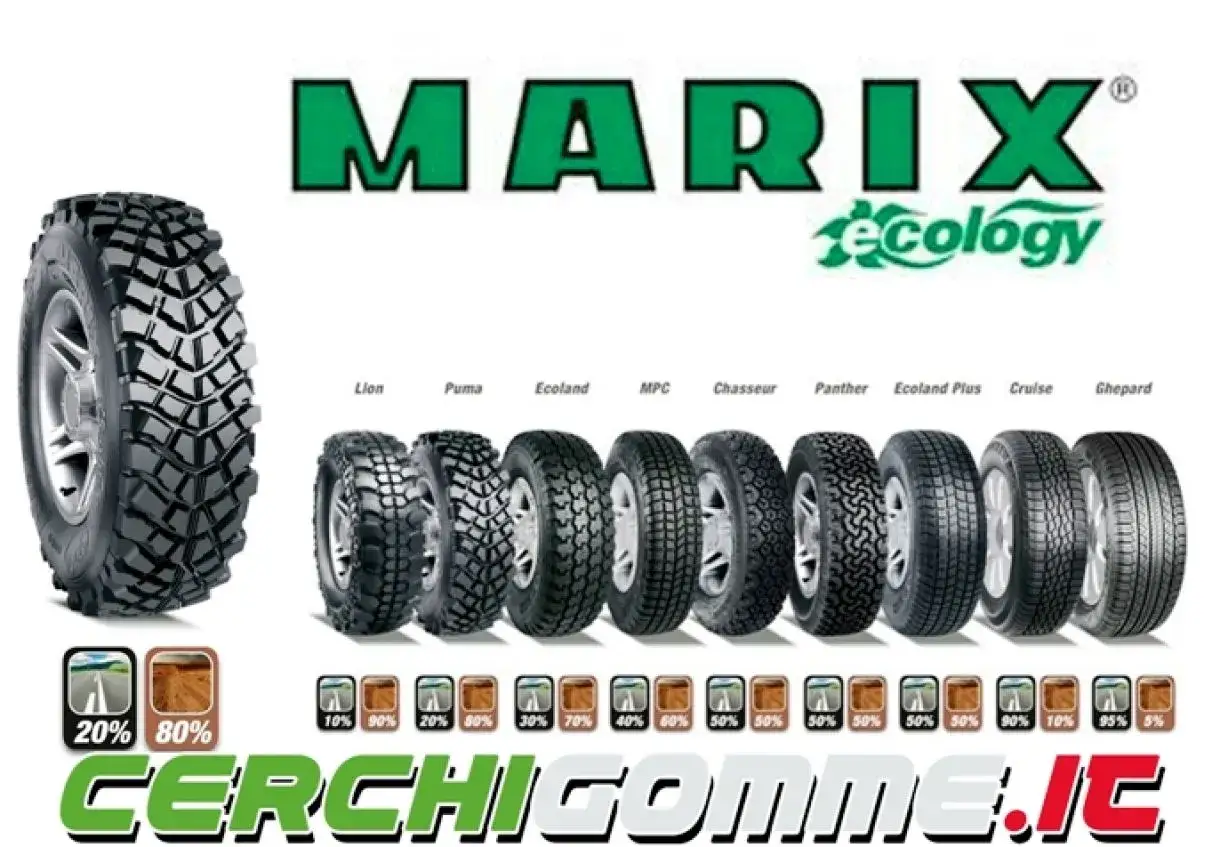 Gomme ricostruite Marix: scopri i modelli Lion, Puma, Ecoland e altri. Immagini e percentuali d'uso per scegliere le tue gomme ricostruite come riconoscerle.