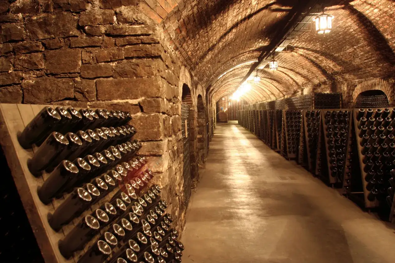 Cantina sotterranea con file di bottiglie di vino, un tesoro dei **colli martani**.