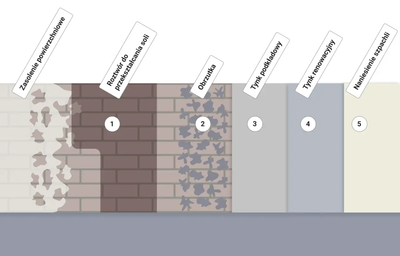 Proces aplikacji tynku renowacyjnego na wilgotne ściany: zasolenie, roztwór, obrzutka, tynk podkładowy, tynk renowacyjny, szpachla.