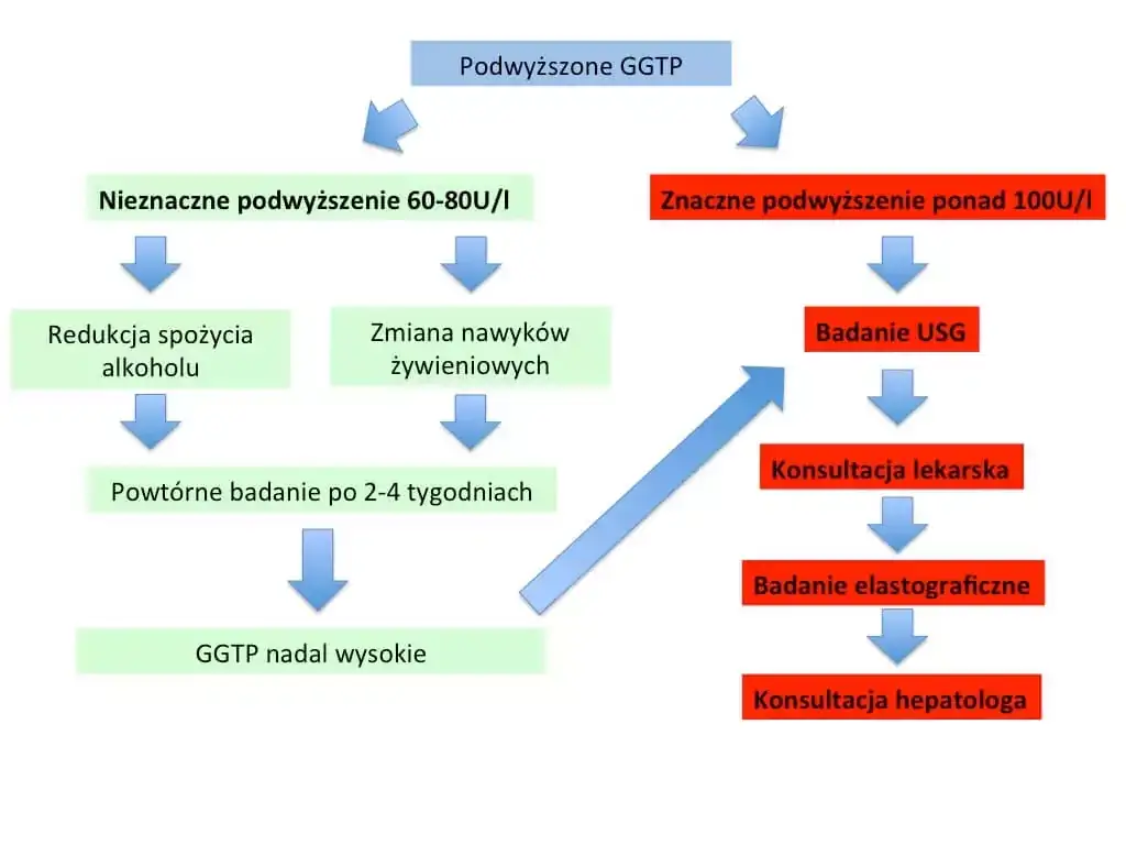 Wykres przyczyn podwyższonego ALAT, schemat wątroby