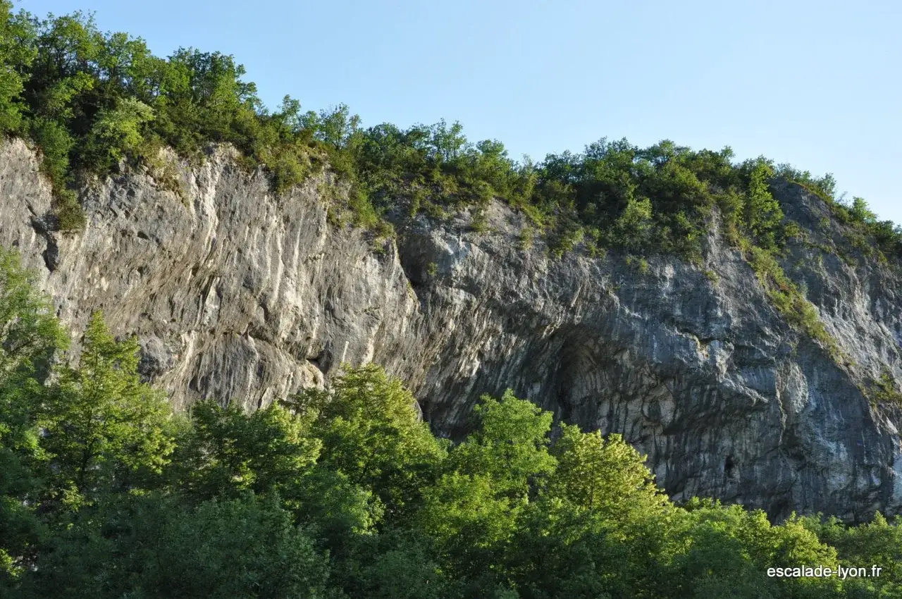 Falaise rocheuse imposante, la balme de Yenne, couronnée de verdure, se dresse sous un ciel bleu. Des arbres luxuriants bordent sa base.