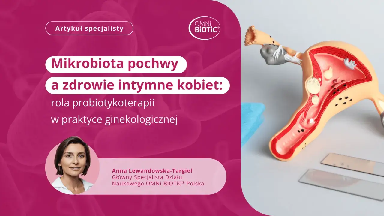 Jak odbudować florę bakteryjną pochwy? Artykuł o zdrowiu intymnym kobiet i roli probiotykoterapii. Model układu rozrodczego.