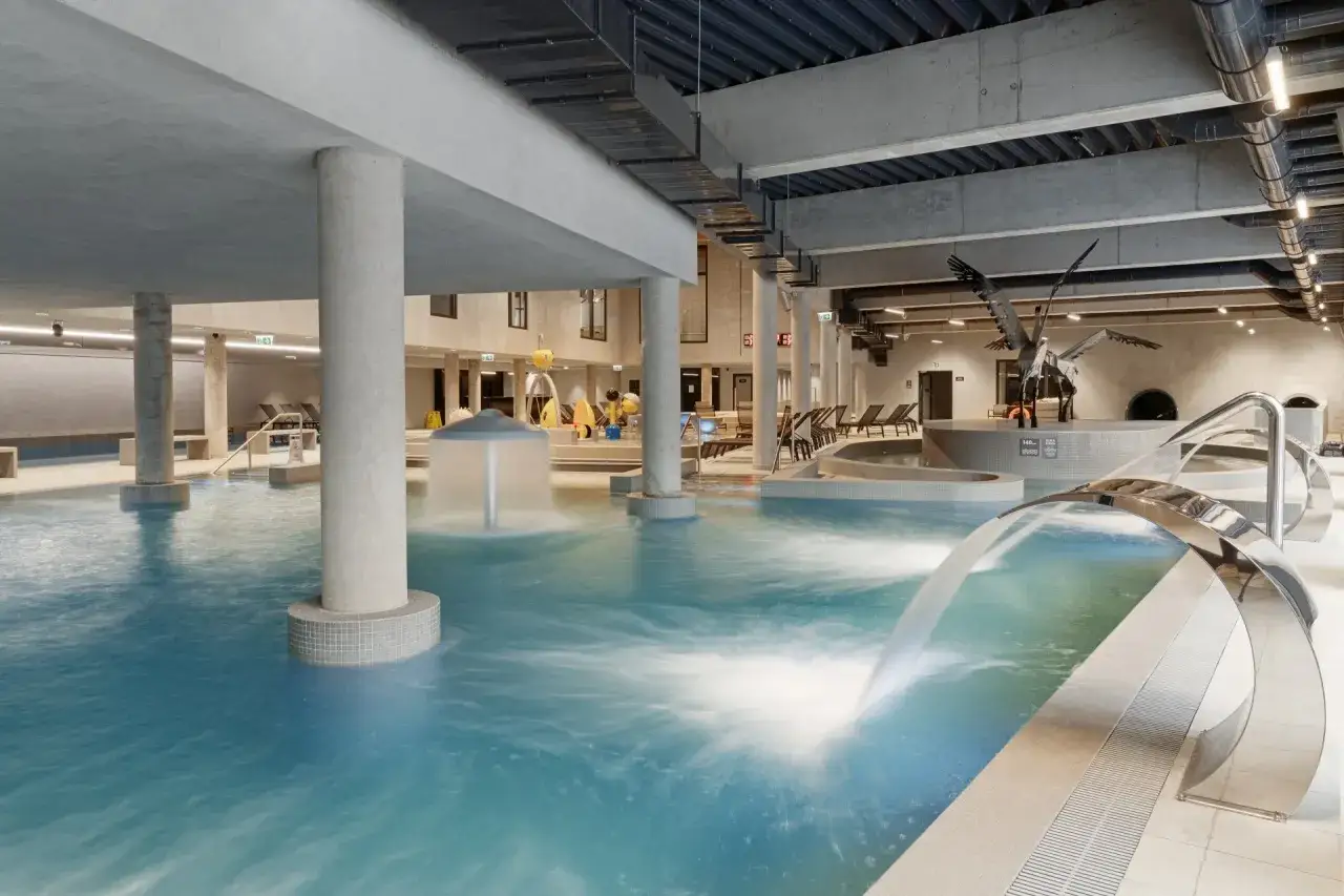 Basen w hotelu Lake Hill Mazury Resort & Spa z wodnymi atrakcjami i rzeźbą ptaków.