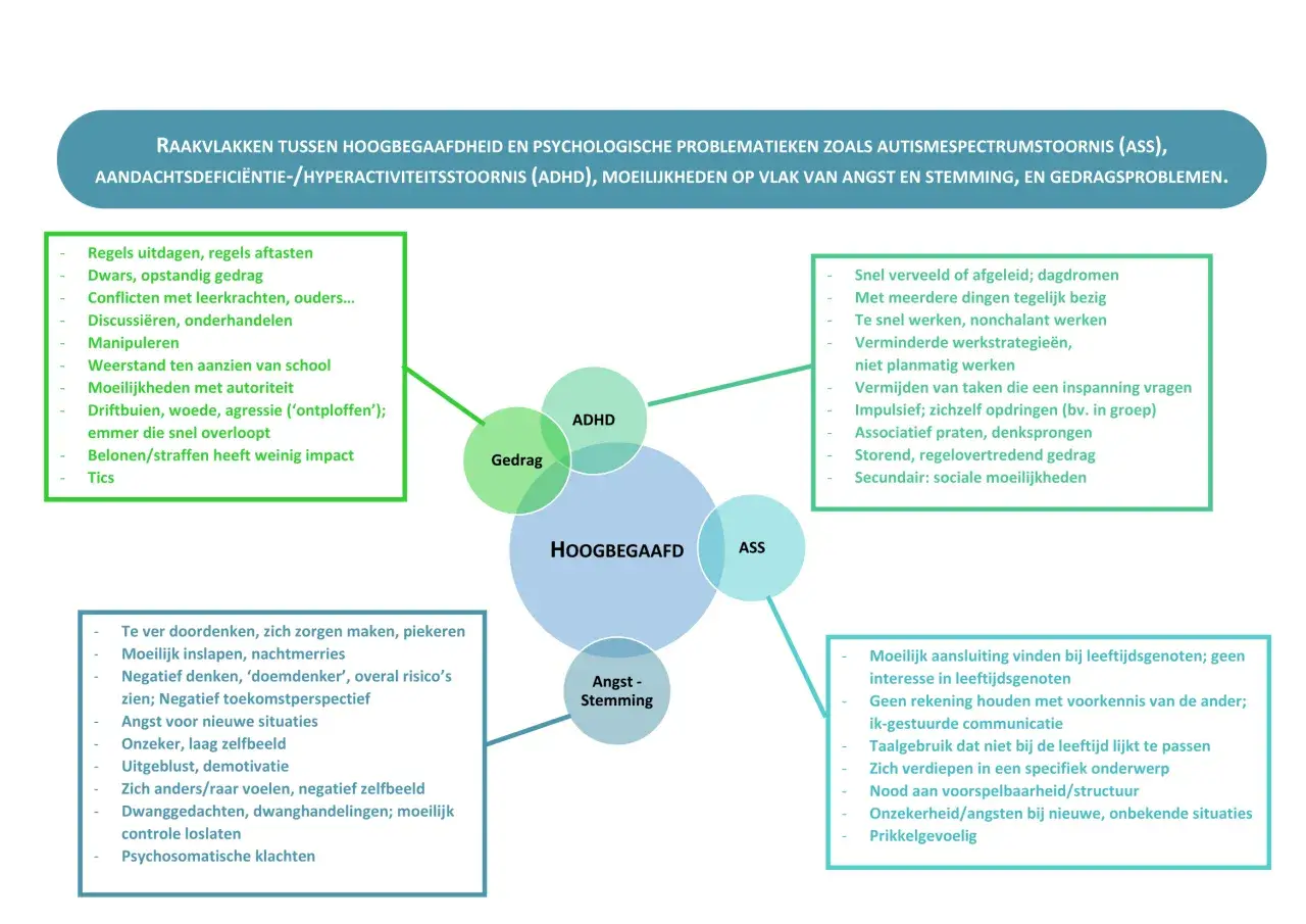Overzicht van raakvlakken tussen hoogbegaafdheid en ADHD, met gedrag, angst en ASS.