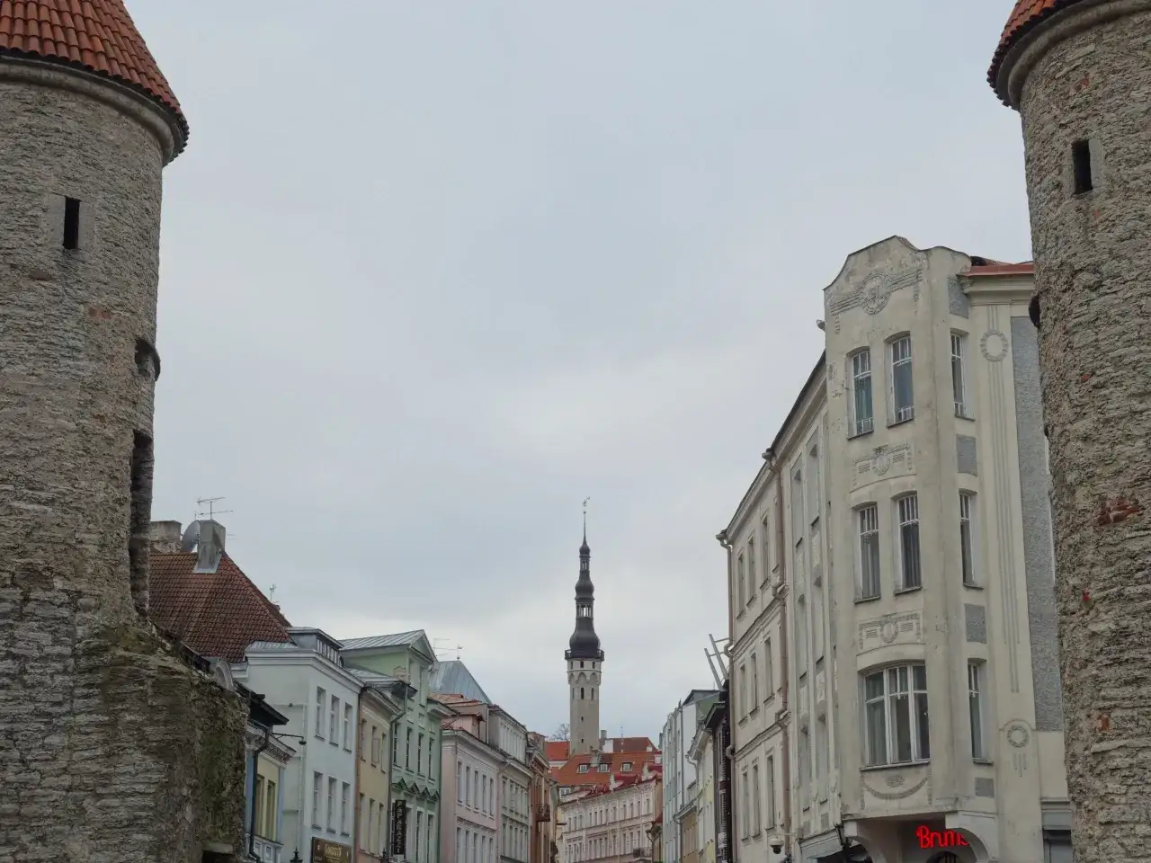 Kamienne wieże i kolorowe kamienice tworzą malowniczy widok na Tallin stare miasto. W oddali widać charakterystyczną wieżę ratuszową.