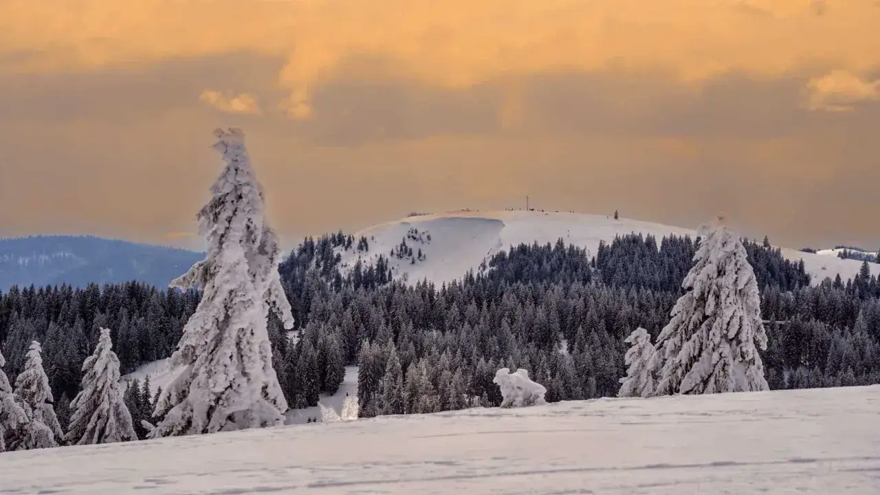 Winterliche Szene am Herzogenhorn: verschneite Tannenw&auml;lder, ein schneebedeckter Gipfel mit Kreuz und ein dramatischer Himmel. Eine perfekte Herzogenhorn Wanderung im Schnee.