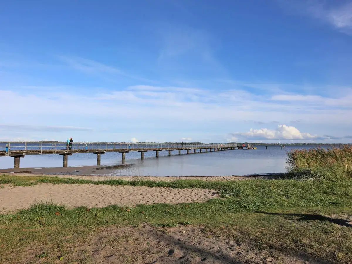 Ein langer Steg erstreckt sich über ruhiges Wasser. Die dranske strandpromenade lädt zu einem Spaziergang ein, während im Hintergrund Schilf und eine weite Landschaft zu sehen sind.