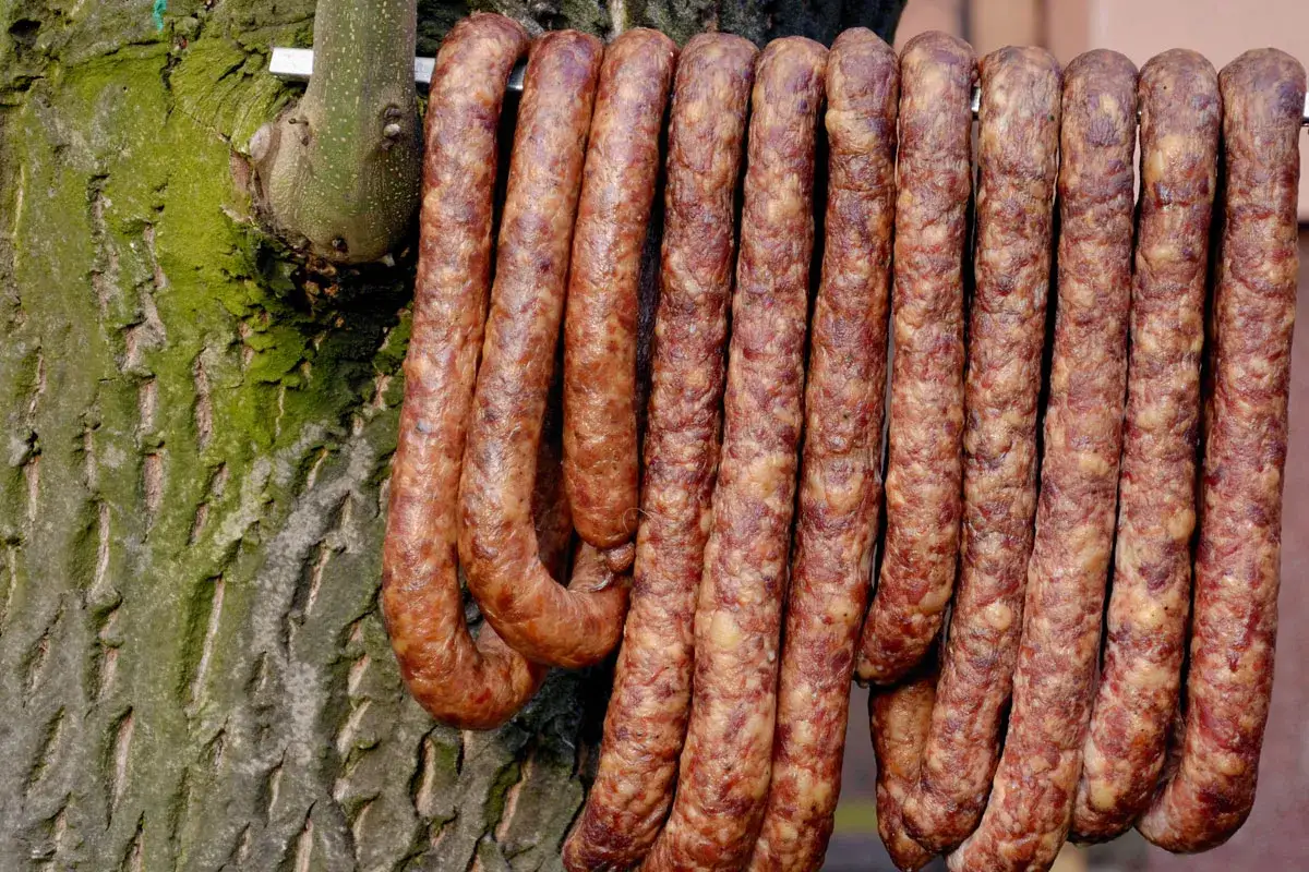 Wędzone kiełbaski wiszą na drzewie. Zastanawiam się, ile pieprzu do kiełbasy dodano, by uzyskać ten smak.