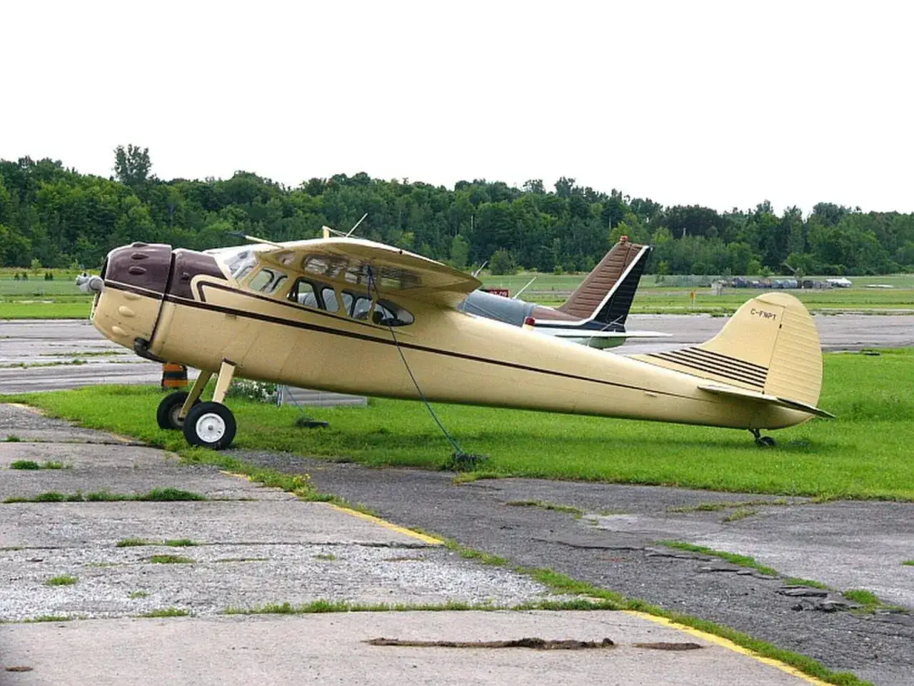 Eine gelbe Cessna 170 mit brauner Nase und Heck steht auf einer Wiese neben einem Rollfeld.