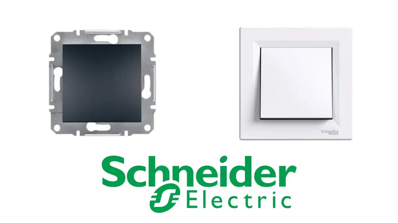 Elementy do wymiany włącznika światła: mechanizm i ramka Schneider Electric.