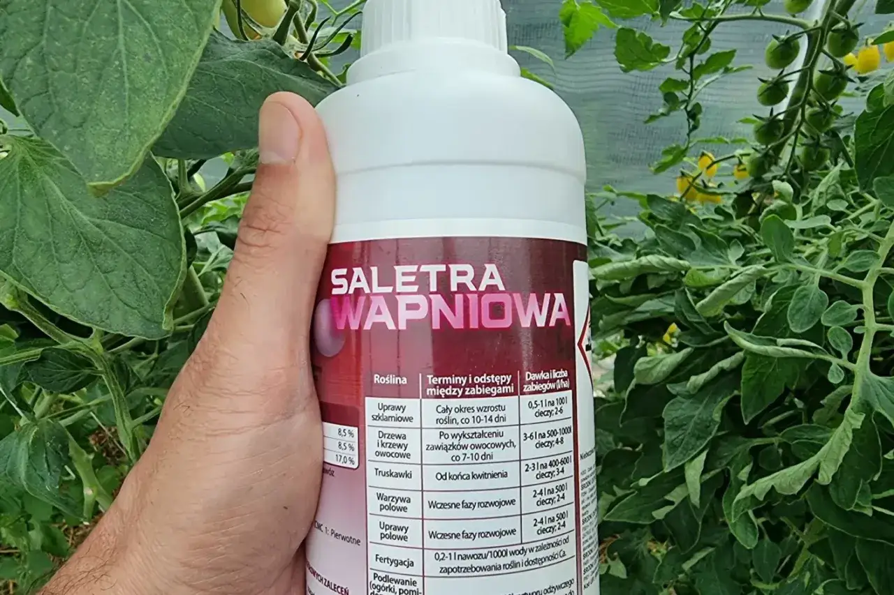 Saletra wapniowa zastosowanie w uprawach szklarniowych i polowych. Na etykiecie widoczne dawkowanie i terminy zabiegów.