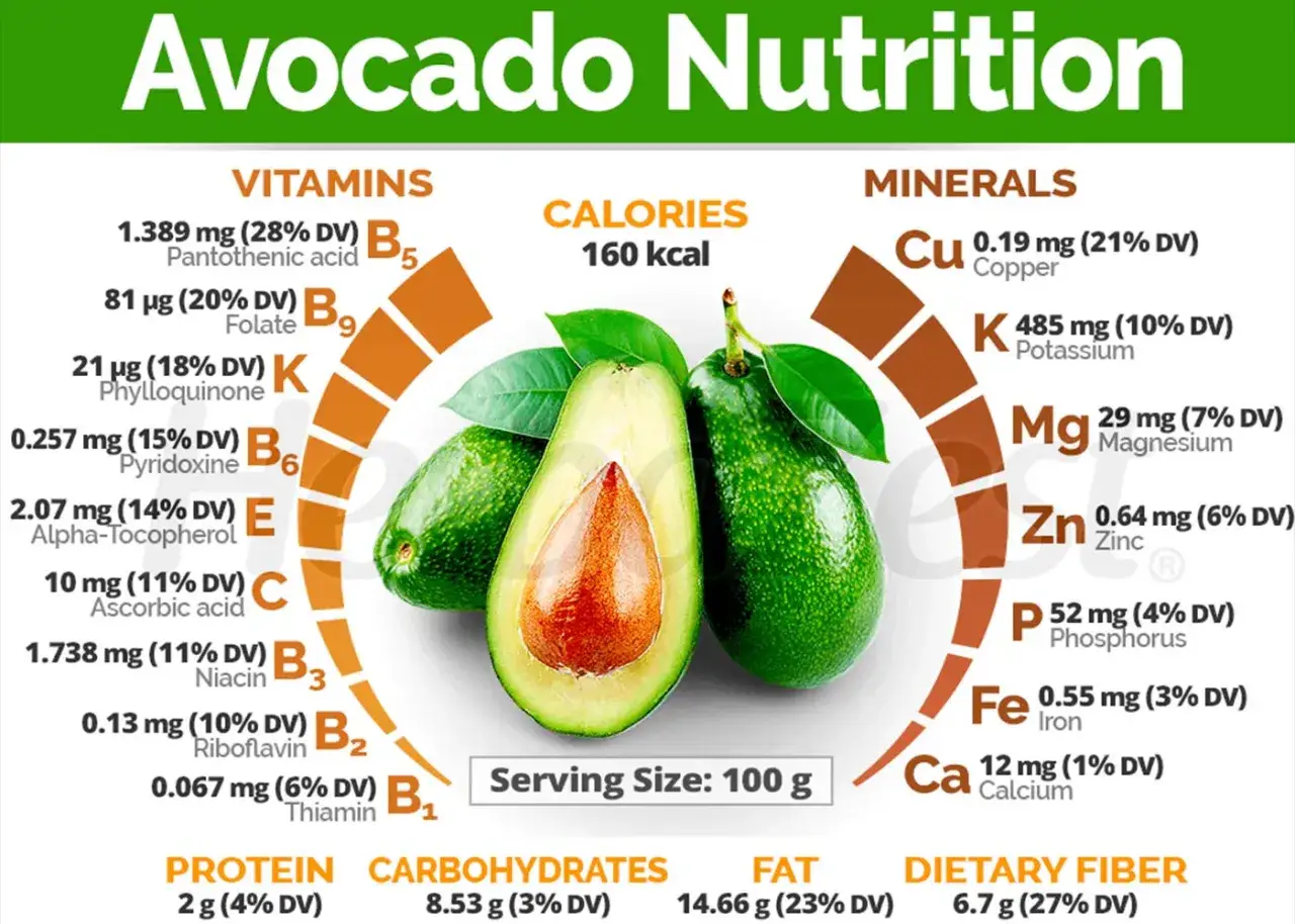 Avocado gesund: Infografik zeigt Nährwerte von Avocado, darunter Vitamine, Mineralstoffe, Kalorien und Ballaststoffe.