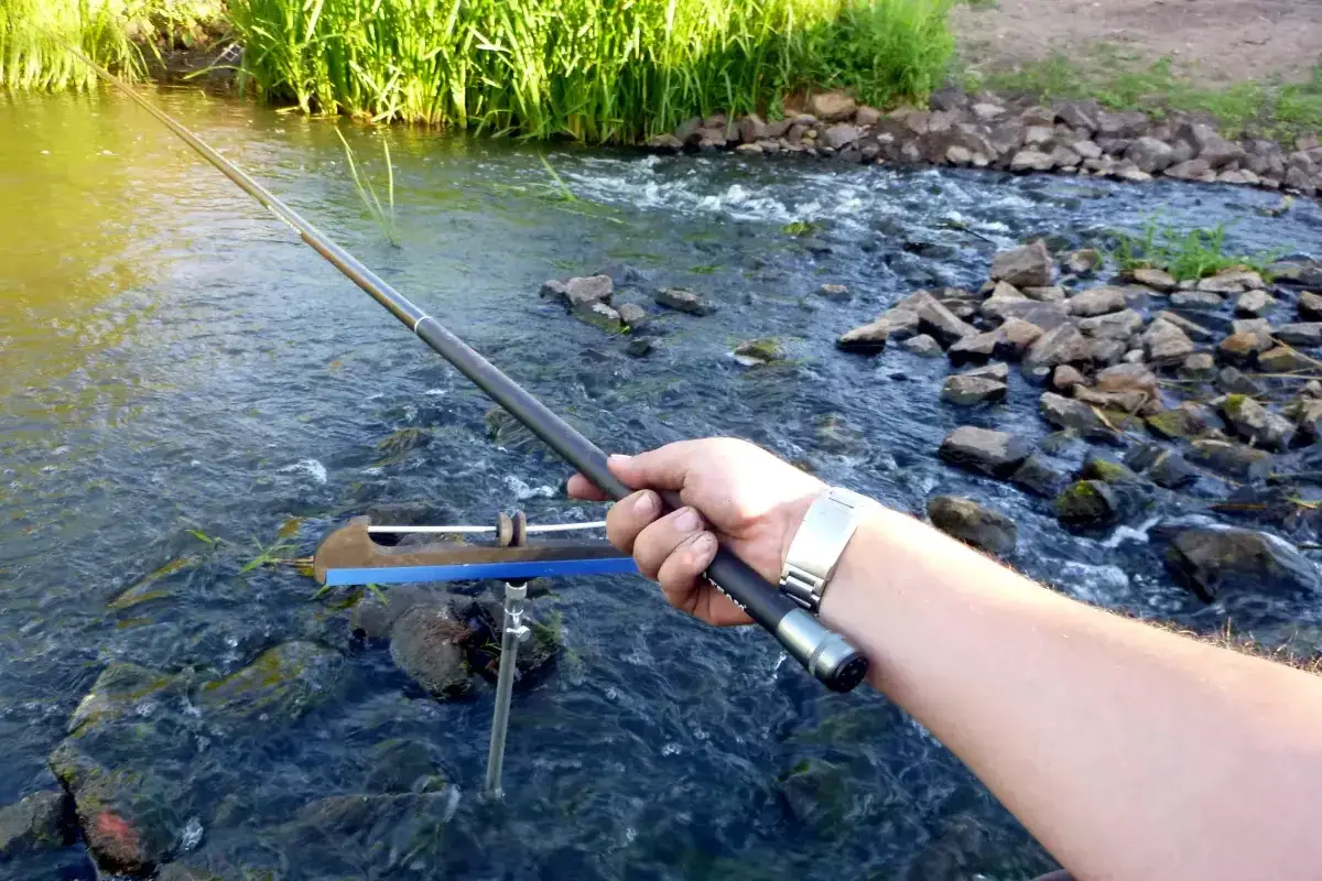 Ein Angler hält eine Angelrute über einem fließenden Bach. Das ist eine Szene, die zeigt, was ist stippfischen: Geduld und Naturgenuss.