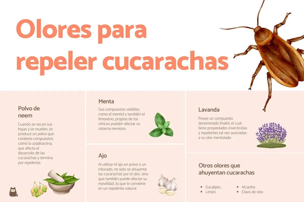 Ilustraci&oacute;n de una cucaracha y varios ingredientes naturales como menta, lavanda y ajo, que ayudan a repeler plagas de cucarachas.