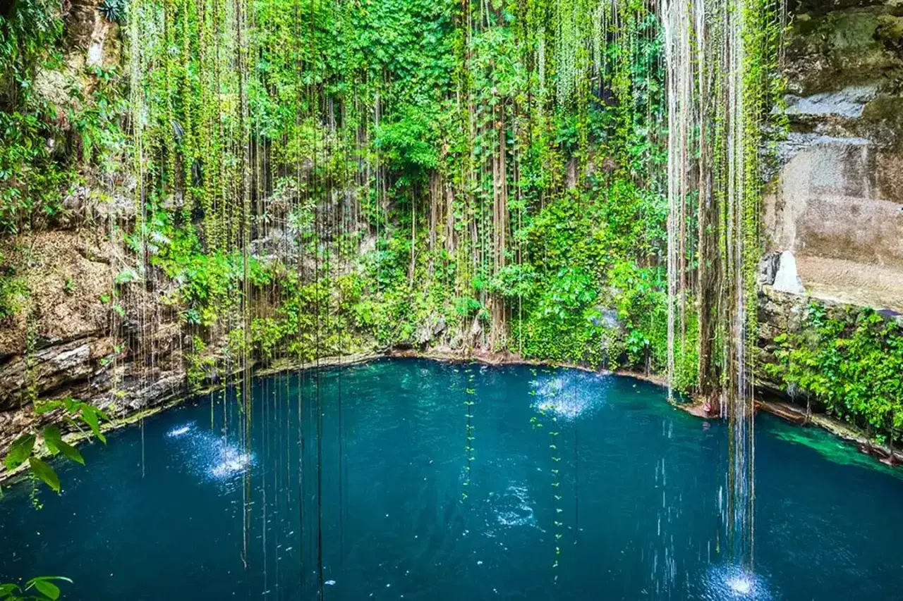 Ein atemberaubender Cenote in Mexiko, umgeben von &uuml;ppiger Vegetation und herabh&auml;ngenden Lianen. Das t&uuml;rkisfarbene Wasser l&auml;dt zum Schwimmen ein.