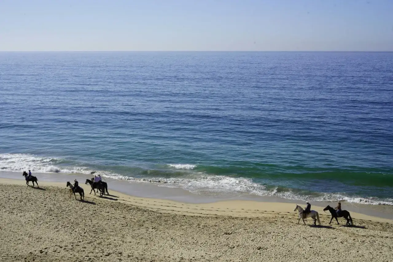 Una splendida passeggiata a cavallo sul mare, con cavalieri e cavalli che godono della brezza marina e delle onde che lambiscono la riva.