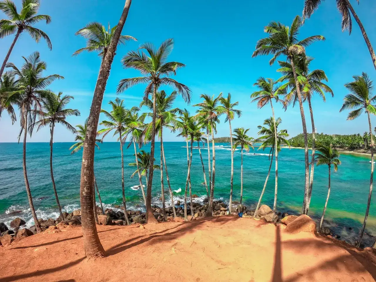 Palmy nad turkusowym oceanem w Mirissa, Sri Lanka. Piękny, słoneczny dzień na rajskiej plaży.