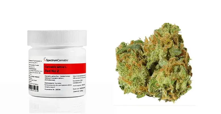 medyczna marihuana w Polsce legalność