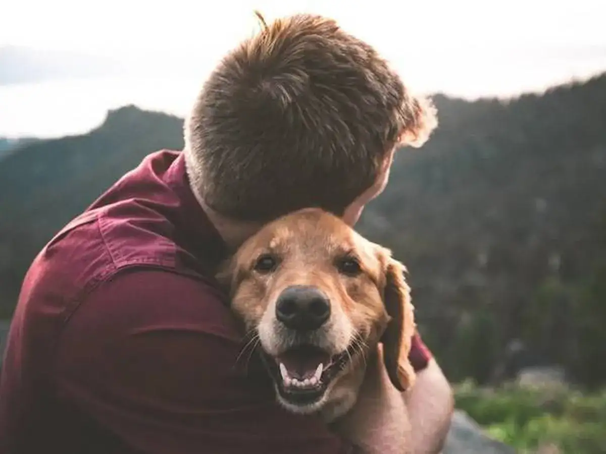 Un hombre abraza a su perro velcro, un golden retriever feliz, con una sonrisa radiante.
