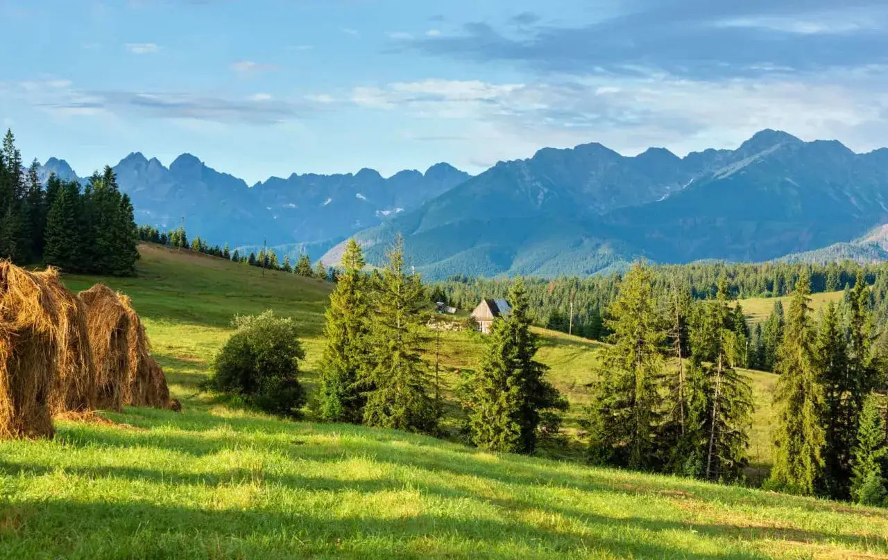 Gdzie jechać w niedzielę? Małopolska zaprasza! Zielone wzgórza, stogi siana i majestatyczne Tatry. Idealne miejsce na odpoczynek.