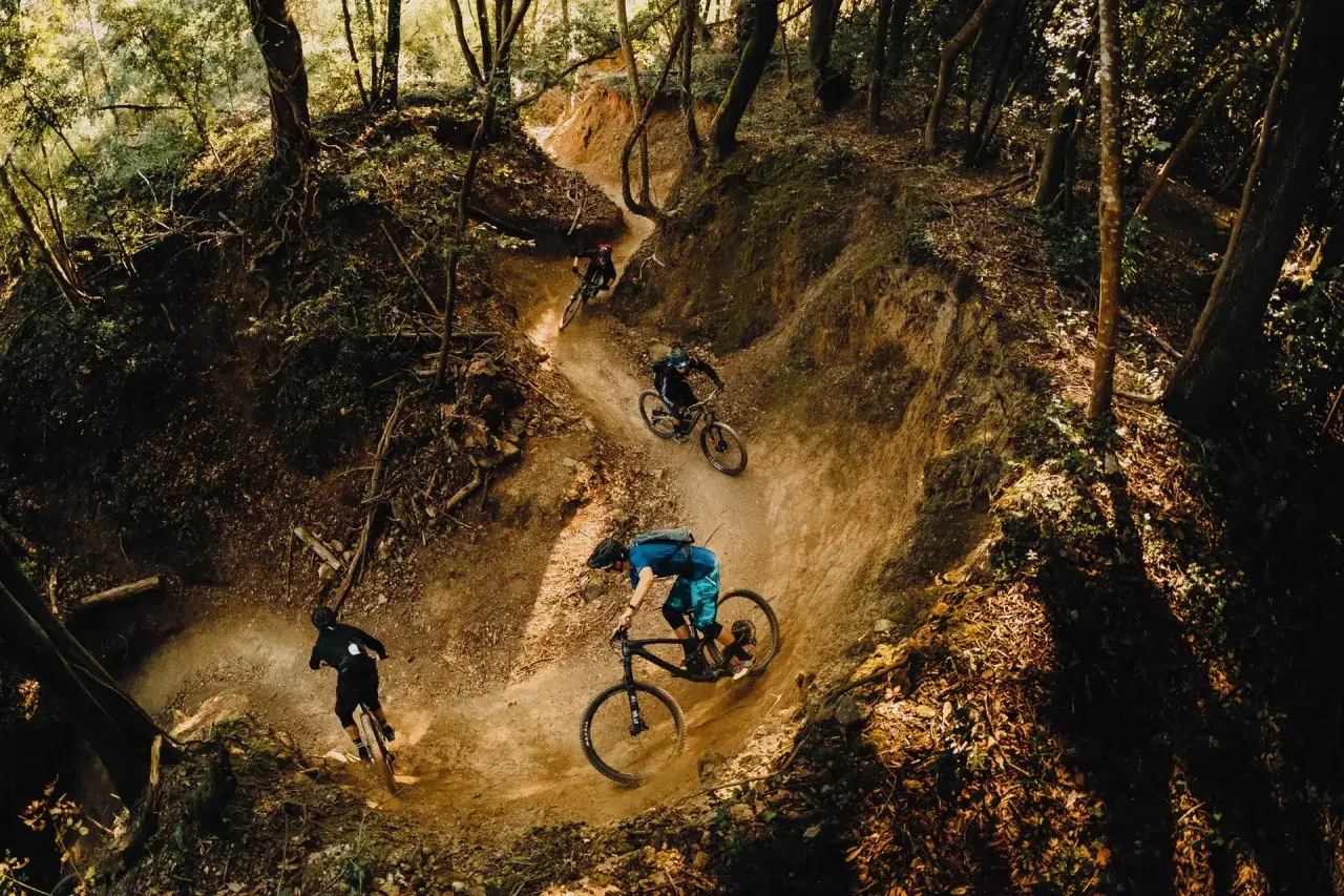 Ciclisti su sentieri sterrati in un bosco, esplorando i **percorsi MTB Toscana** con agilità e passione.